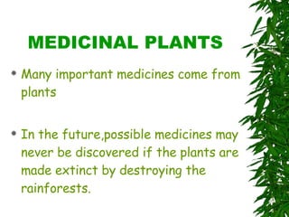 MEDICINAL PLANTS Many important medicines come from plants In the future,possible medicines may never be discovered if the plants are made extinct by destroying the rainforests. 