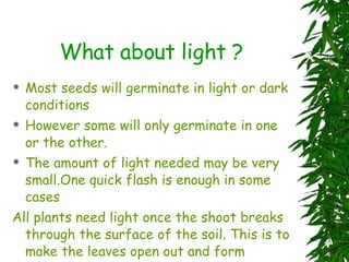 What about light ? Most seeds will germinate in light or dark conditions However some will only germinate in one or the other. The amount of light needed may be very small.One quick flash is enough in some cases All plants need light once the shoot breaks through the surface of the soil. This is to make the leaves open out and form CHLOROPHYLL FOR PHOTOSYNTHESIS 