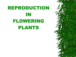 REPRODUCTION IN FLOWERING PLANTS 