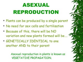 ASEXUAL REPRODUCTION Plants can be produced by a single parent No need for sex cells and fertilisation Because of this, there will be NO variation and new plants formed will be…. GENETICALLY IDENTICAL to one another AND to their parent Asexual reproduction in plants is known as VEGETATIVE PROPAGATION. 