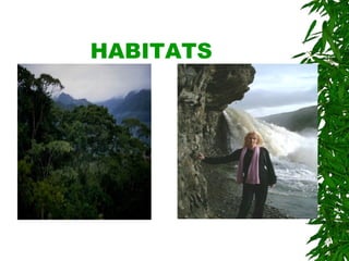 HABITATS 