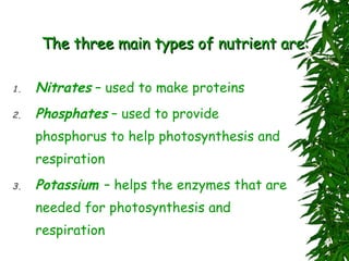 The three main types of nutrient are: Nitrates  – used to make proteins Phosphates  – used to provide phosphorus to help photosynthesis and respiration Potassium  – helps the enzymes that are needed for photosynthesis and respiration 