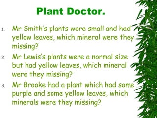 Plant Doctor. Mr Smith’s plants were small and had yellow leaves, which mineral were they missing? Mr Lewis’s plants were a normal size but had yellow leaves, which mineral were they missing?  Mr Brooke had a plant which had some purple and some yellow leaves, which minerals were they missing? 