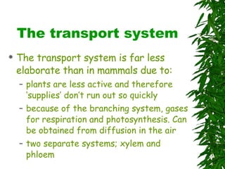 The transport system The transport system is far less elaborate than in mammals due to: plants are less active and therefore ‘supplies’ don’t run out so quickly because of the branching system, gases for respiration and photosynthesis. Can be obtained from diffusion in the air two separate systems; xylem and phloem 