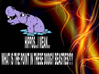 HIPPOS...I MEAN... WHAT IS THE POINT IN THESE DODGY BEASTIES??? 