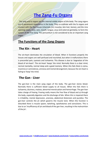 The Zang-Fu Organs
 The zang and fu organs are the internal visible organs of the body. The zang organs
are of paramount importance in the body. They co-ordinate with the fu organs and
connect with the five tissues (channels, jin1 muscles, skin-hair, bones), and the nine
openings (eyes, nose, ears, mouth, tongue, anus and external genitalia), to form the
system of the Five Zang. The pericardium is not considered to be an important zang
organ.


The Functions of the Zang Organs

The Xin - Heart
The xin-heart dominates the circulation of blood. When it functions properly the
tissues and organs are well perfused and nourished, but when it malfunctions there
is precordial pain, cyanosis and ischaemia. This disease is due to 'stagnation of the
blood of xin-heart'. The xin-heart 'keeps' the mind. Normally there is a clear mind,
normal mentality, normal sleep and a good memory. When this fails there is coma,
insomnia or somnolence, amnesia and mental derangement, because the xin-heart is
failing to 'keep' the mind.


The Gan - Liver
The gan-liver is the main yang organ of the body. The gan-liver stores blood.
Normally there is sufficient blood supply to all tissues. When this fails there is
ischaemia, dizziness, malaise, abnormal menstruation and hemorrhage. The gan-liver
takes charge of freeing. Freeing really means the free flow of blood and qi through
the body, especially digestion and the discharge of bile. When this is impaired there
is irritability, mental depression, anorexia, abdominal distension and jaundice. The
gan-liver controls the jin which governs the muscle tone. When this function is
disturbed there is muscle spasm, twitching, opisthotonos and convulsions. This is
due to an 'insufficiency of yin and blood of the gan-liver, resulting in the malnutrition
of the jin'.




 www.tcmcity.com | info@tcmcity.com | www.facebook.com/tcmcity | www.twitter.com/tcmcity
 