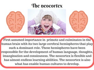 The neocortex
First assumed importance in primote and culminates in the
human brain with its two large cerebral hemispheres that play
such a dominant role. These hemispheres have been
responsible for the development of human language, thoughts,
imangination and consiouness. The neocortex is flexible and
has almost endless learning abilities. The neocortex is also
what has enable human cultures to develop.
 