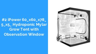 #2 iPower 60_x60_x78_
5_x5_ Hydroponic Mylar
Grow Tent with
Observation Window
 