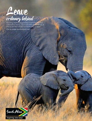 The 10 best performing HR technology solution providers 2018 