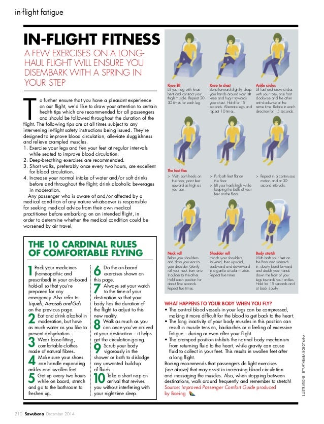 The 10 Cardinal Rules Of Comfortable Flying the-10-cardinal-rules-of-comfortable-flying