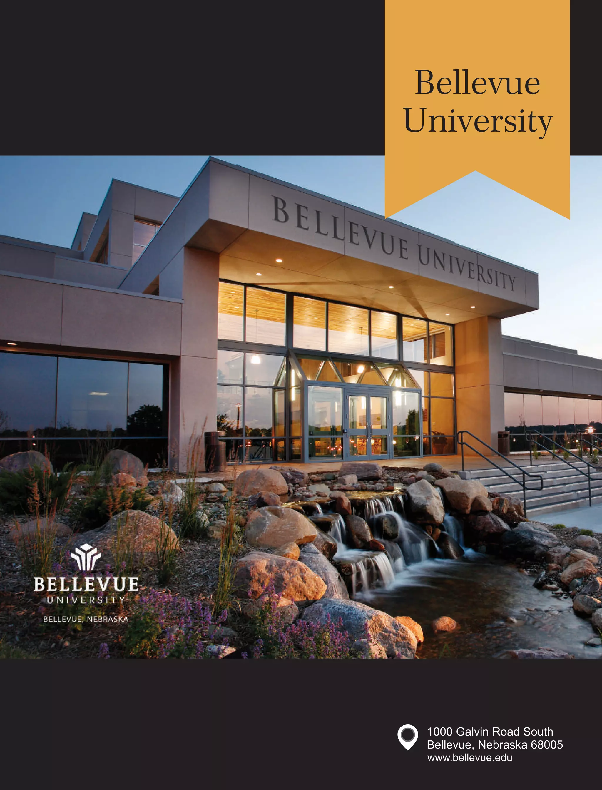 The 10 most scintillating institutes for computer applications, 2018