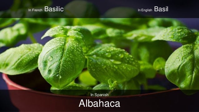 The 10 Strangest Spanish Words