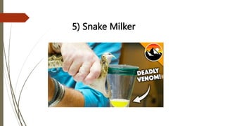 5) Snake Milker
 