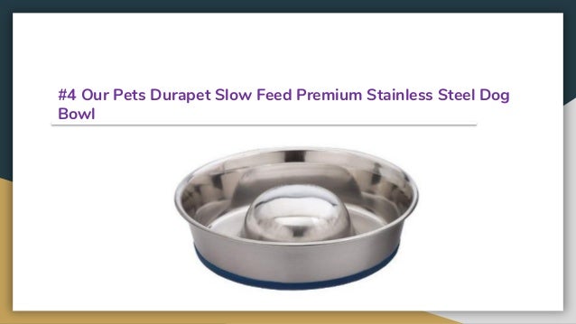 The 11 Best Slow Feed Dog Bowls Reviews In 2019