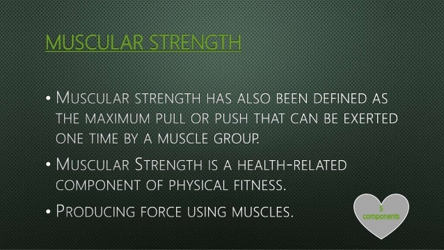the 11 components of physical fitness 5 components of fitness