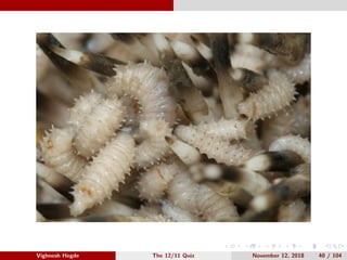 Vighnesh Hegde The 12/11 Quiz November 12, 2018 40 / 104
 