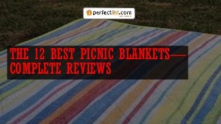 THE 12 BEST PICNIC BLANKETS—
COMPLETE REVIEWS
 