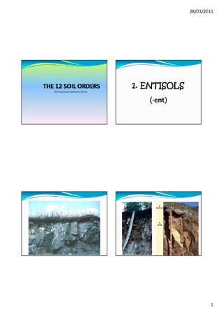 28/03/2011




                                     1. ENTISOLS
Soil Taxonomy Classification Sytem



                                        (‐ent)




                                                           1
 