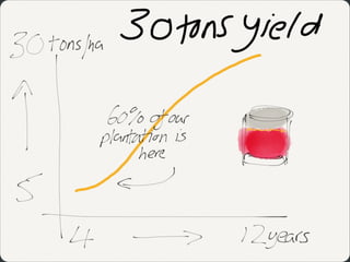 The 13 BWs 'Growth'