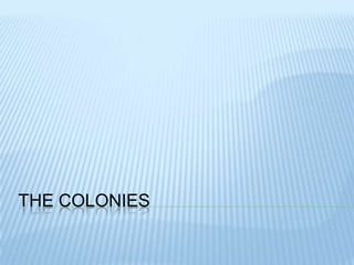 The colonies 