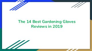 The 14 Best Gardening Gloves
Reviews in 2019
 