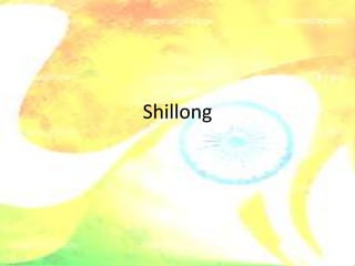 Shillong
 