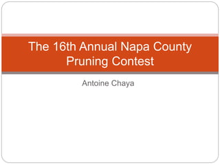 Antoine Chaya
The 16th Annual Napa County
Pruning Contest
 