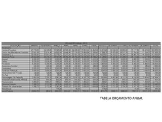 TABELA ORÇAMENTO ANUAL 