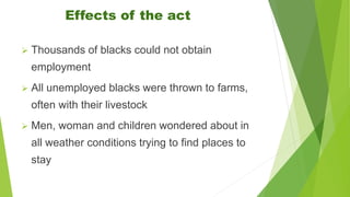 Effects of the act
 Thousands of blacks could not obtain
employment
 All unemployed blacks were thrown to farms,
often with their livestock
 Men, woman and children wondered about in
all weather conditions trying to find places to
stay
 