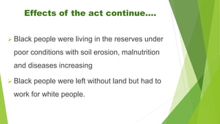 Effects of the act continue….
 Black people were living in the reserves under
poor conditions with soil erosion, malnutrition
and diseases increasing
 Black people were left without land but had to
work for white people.
 