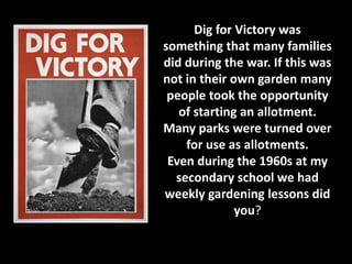 Dig for Victory was 
something that many families 
did during the war. If this was 
not in their own garden many 
people took the opportunity 
of starting an allotment. 
Many parks were turned over 
for use as allotments. 
Even during the 1960s at my 
secondary school we had 
weekly gardening lessons did 
you? 
 