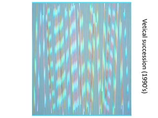 Vetical succession (1990’s)

 