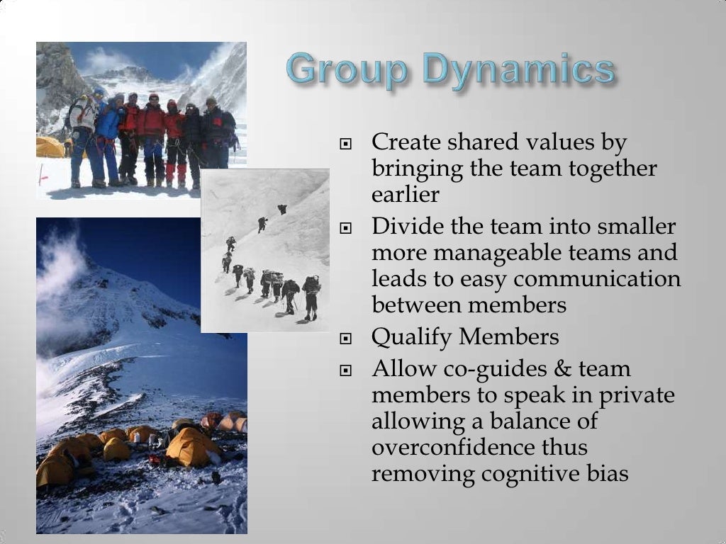 Mount everest 1996 case study pdf picture