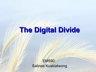 The Digital Divide EM590:  Salinee Kuakiatwong 