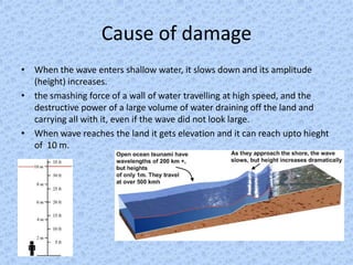 Cause of damage
• When the wave enters shallow water, it slows down and its amplitude
  (height) increases.
• the smashing force of a wall of water travelling at high speed, and the
  destructive power of a large volume of water draining off the land and
  carrying all with it, even if the wave did not look large.
• When wave reaches the land it gets elevation and it can reach upto hieght
  of 10 m.
 