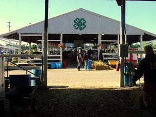 4-H Fair 2013 in Clinton County 