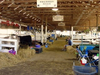 4-H Fair 2013 in Clinton County 