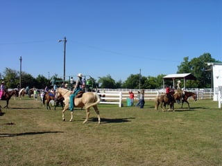 4-H Fair 2013 in Clinton County 