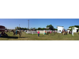 4-H Fair 2013 in Clinton County 