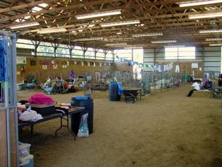 4-H Fair 2013 in Clinton County 