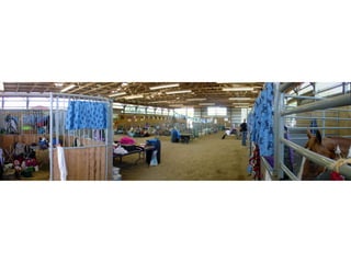 4-H Fair 2013 in Clinton County 