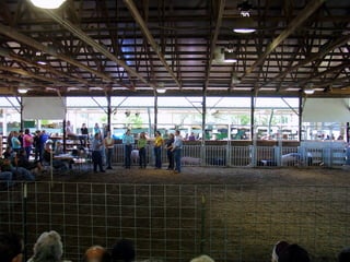 4-H Fair 2013 in Clinton County 