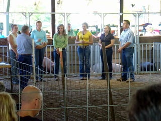 4-H Fair 2013 in Clinton County 