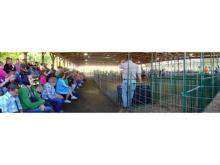 4-H Fair 2013 in Clinton County 