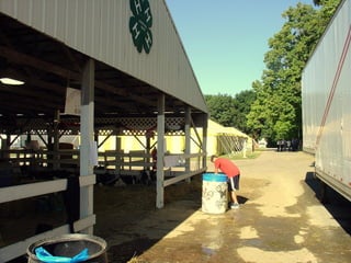 4-H Fair 2013 in Clinton County 