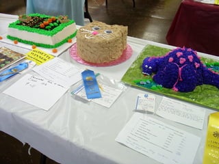 4-H Fair 2013 in Clinton County 