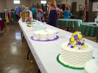 4-H Fair 2013 in Clinton County 