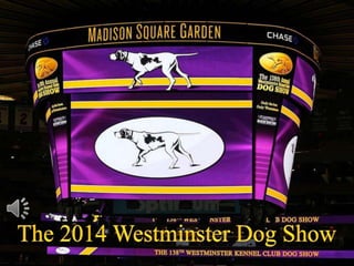 The 2014 westminster dog show (v.m.)