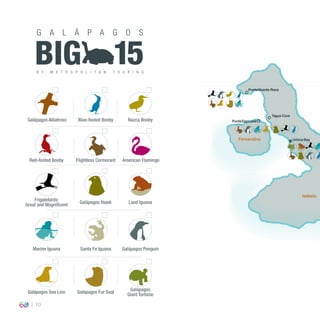 10
PuntaVicente Roca
Tagus Cove
PuntaEspinoza
UrbinaBay
Land Iguana
Santa Fe Iguana
Red-footed Booby
Blue-footed Booby Nazca Booby
Galápagos
Giant Tortoise
Galápagos Fur SealGalápagos Sea Lion
Frigatebirds:
Great and Magniﬁcent Galápagos Hawk
Flightless Cormorant American Flamingo
Galápagos Penguin
Galápagos Albatross
Isabela
Fernandina
Marine Iguana
G A L Á P A G O S
B Y M E T R O P O L I T A N T O U R I N G
BIG 15
 