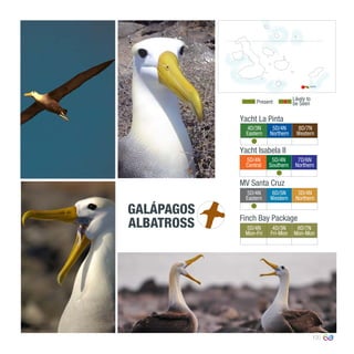 13
4D/3N
Eastern
5D/4N
Northern
8D/7N
Western
0º00’00’’
MV Santa Cruz
Yacht La Pinta
Yacht Isabela II
5D/4N
Central
5D/4N
Southern
7D/6N
Northern
5D/4N
Eastern
6D/5N
Western
5D/4N
Northern
Finch Bay Package
5D/4N
Mon-Fri
4D/3N
Fri-Mon
8D/7N
Mon-Mon
Present
Likely to
be Seen
GALÁPAGOS
ALBATROSS
Española
 